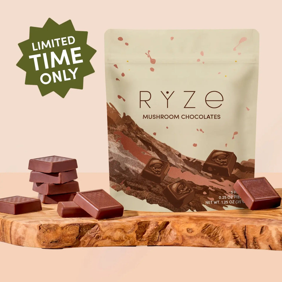 Mushroom Chocolates Rye (15 pieces) - Modern Mushroom Style